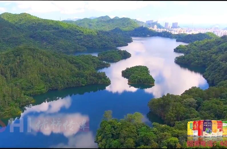 河南拍攝專(zhuān)題宣傳片：宣傳片拍攝方案如何撰寫(xiě)?